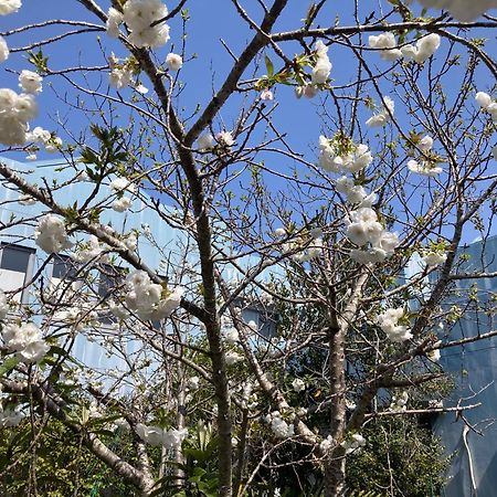 Narita Airport Samurai Hostel Kujukuri Eksteriør bilde